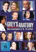 Grey's Anatomy - 6. Staffel