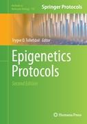 Epigenetics Protocols