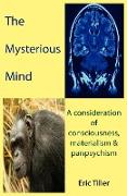 The Mysterious Mind