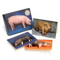 Beautiful Pigs Notecards 20 Pack