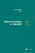 Pattern Formation in Zebrafish