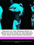 Organs of the Human Body: A Head to Toe Look at the Organs That Keep Our Bodies Running
