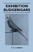 Exhibition Budgerigars