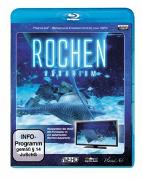 Rochen-Aquarium HD