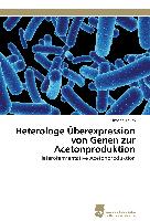 Heterologe Überexpression von Genen zur Acetonproduktion