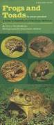 Frogs and Toads in Your Pocket: A Guide to Amphibians of the Upper Midwest