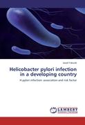 Helicobacter pylori infection in a developing country