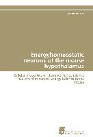 Energyhomeostatic neurons of the mouse hypothalamus