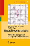 Natural Image Statistics