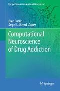 Computational Neuroscience of Drug Addiction