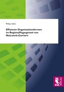 Effiziente Organisationsformen im Regionalflugsegment von Netzwerk-Carriern