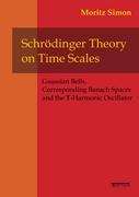 Schrödinger Theory on Time Scales