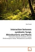 Interaction between symbiotic fungi, Rhizobacteria and Plants