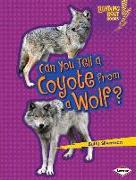Can You Tell a Coyote from a Wolf?