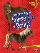 Can You Tell a Horse from a Pony?