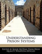 Understanding Prison Systems