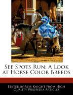 See Spots Run: A Look at Horse Color Breeds