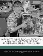 A Guide to Labor Laws: An Overview, Minimum Wage, Working Time, Child Labor, Strikes, Pickets, Etc