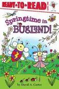 Springtime in Bugland!: Ready-To-Read Level 1