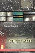 Vertical Elegies 6: Street Mete