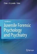 Handbook of Juvenile Forensic Psychology and Psychiatry