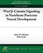 Wnt/ -Catenin Signaling in Vertebrate Posterior Neural Development