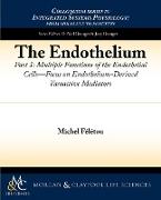 The Endothelium, Part I