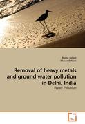 Removal of heavy metals and ground water pollution in Delhi, India