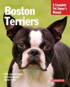 Boston Terriers