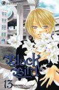 Black Bird Volume 13