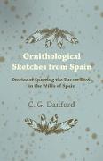 Ornithological Sketches from Spain - Stories of Spotting the Rarest Birds in the Wilds of Spain