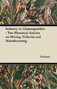 Industry in Glamorganshire - Two Historical Articles on Mining, Fisheries and Manufacturing