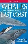 Whales and Other Marine Mammals of the East Coast