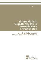 Sinusendothel-/Virgultumzellen in menschlichen Lymphknoten