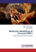 Molecular Modelling of Unusual DNA¿s