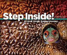 Step Inside!: A Look Inside Animal Homes