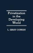 Privatization in the Developing World