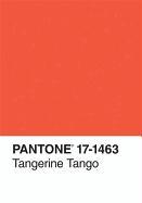 Pantone Tangerine Tango Color of the Year Journal