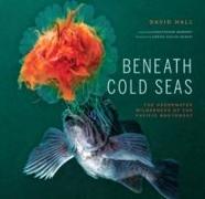 Beneath Cold Seas