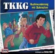 TKKG 175. Nachtwanderung mit Schrecken