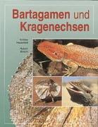 Bartagamen und Kragenechsen