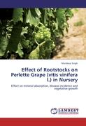 Effect of Rootstocks on Perlette Grape (vitis vinifera l.) in Nursery