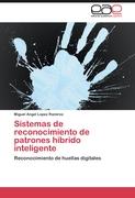 Sistemas de reconocimiento de patrones híbrido inteligente