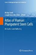 Atlas of Human Pluripotent Stem Cells