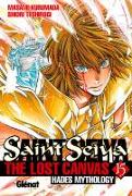 Saint Seiya: Lost Canvas Hades Mythology 15