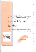 Werkstattunterricht 4./5. SJ. Zur Entwicklungsgeschichte der Saurier