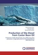 Production of Bio Diesel from Castor Bean Oil