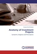 Anatomy of Investment Projects