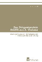 Das Dirigentprotein AtDIR6 aus A. thaliana