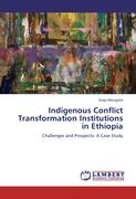 Indigenous Conflict Transformation Institutions in Ethiopia